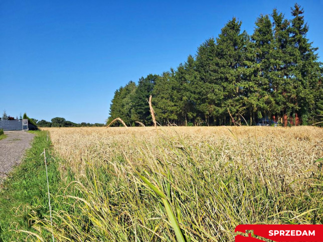 Działka Sprzedaż Zemborzyce Dolne 7