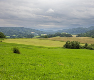 Działka Sprzedaż Kiełczawa