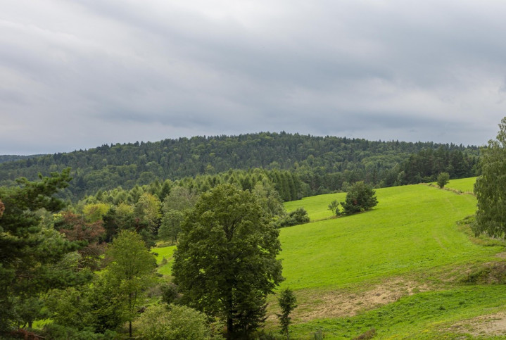 Działka Sprzedaż Kiełczawa 1