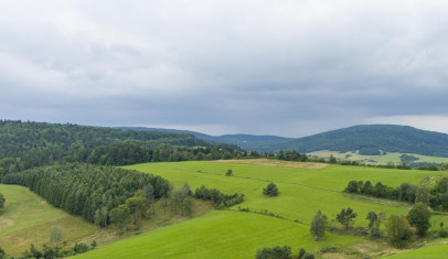 Działka Sprzedaż Kiełczawa