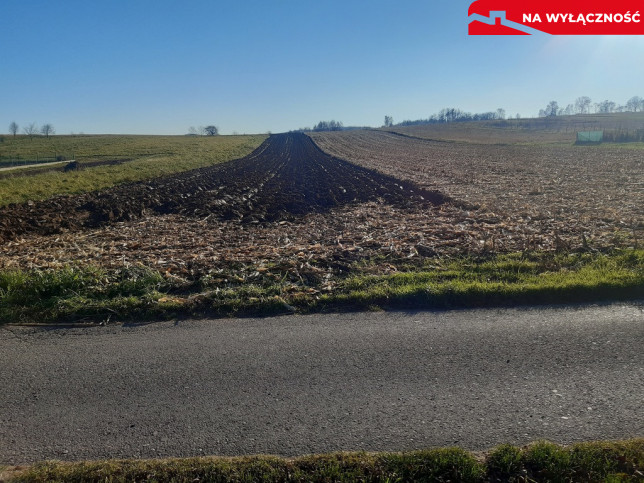 Działka Sprzedaż Wojnicz Świętej Kingi 1