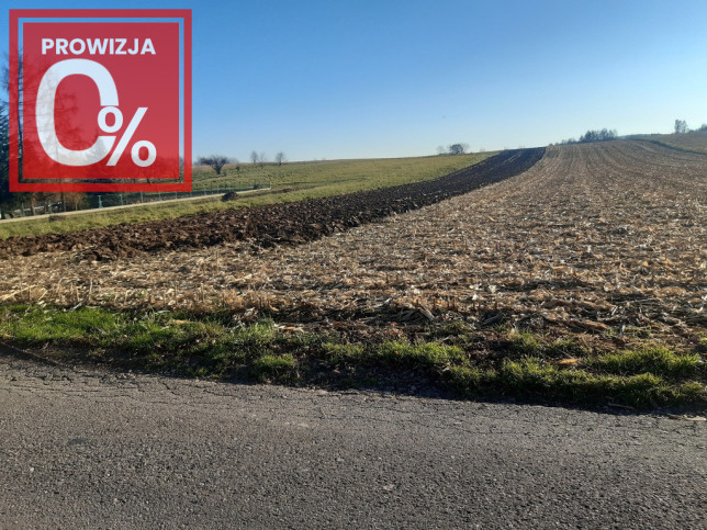 Działka Sprzedaż Wojnicz Świętej Kingi 2