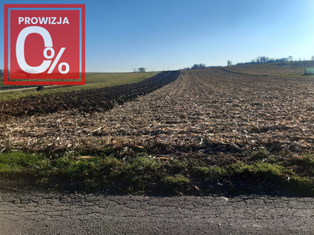 Działka Sprzedaż Wojnicz Świętej Kingi 3