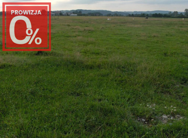 Działka Sprzedaż Faściszowa 980 2