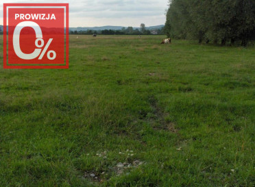 Działka Sprzedaż Faściszowa 980