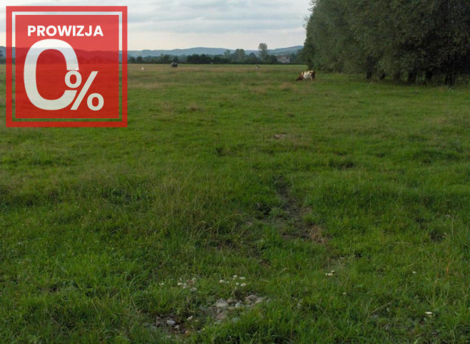 Działka Sprzedaż Faściszowa 980 3