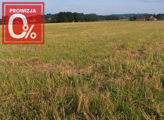Działka Sprzedaż Faściszowa 980 4