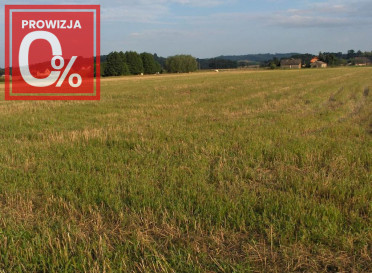 Działka Sprzedaż Faściszowa 980
