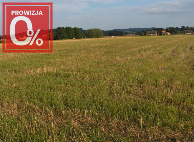 Działka Sprzedaż Faściszowa 980 5