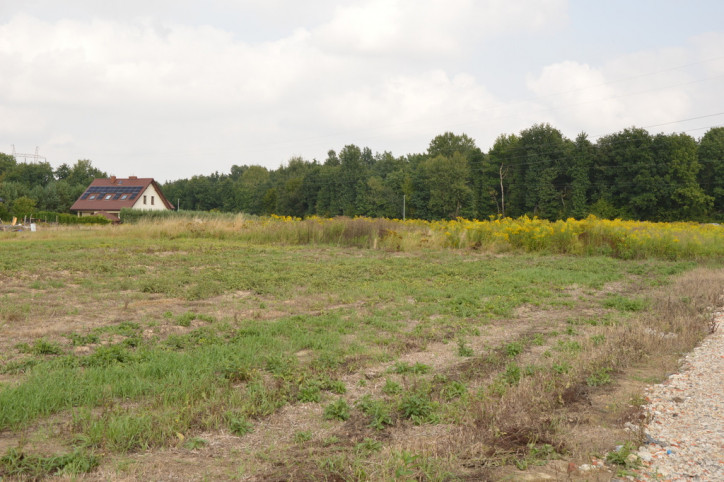 Działka Sprzedaż Prawiedniki-Kolonia 3