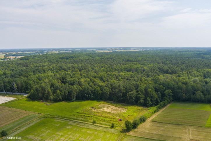 Działka Sprzedaż Borki 3