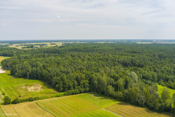 Działka Sprzedaż Borki 2