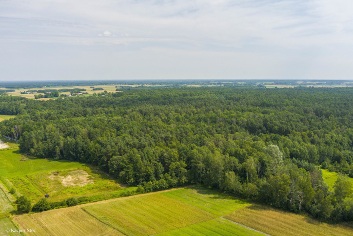 Działka Sprzedaż Borki 4