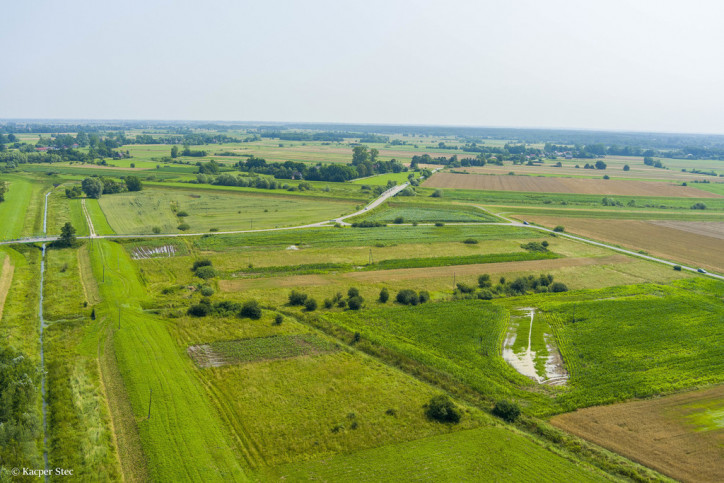 Działka Sprzedaż Kwików 4