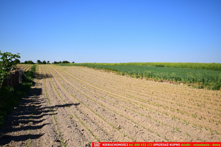 Działka Sprzedaż Dominów 3