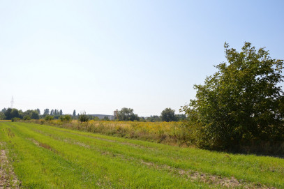 Działka Sprzedaż Lublin Hajdów-Zadębie