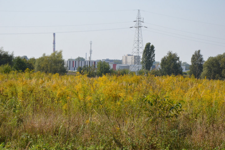 Działka Sprzedaż Lublin Hajdów-Zadębie 1