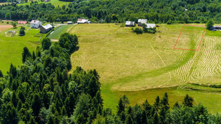 Działka Sprzedaż Żurowa 7