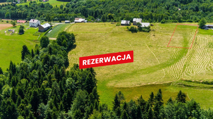 Działka Sprzedaż Żurowa 7