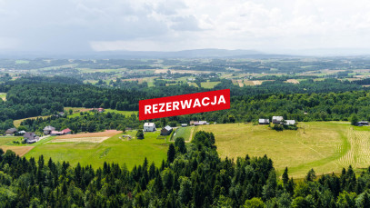 Działka Sprzedaż Żurowa