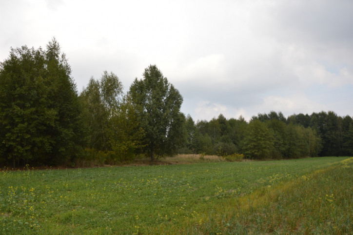 Działka Sprzedaż Brzeźnica Leśna 1