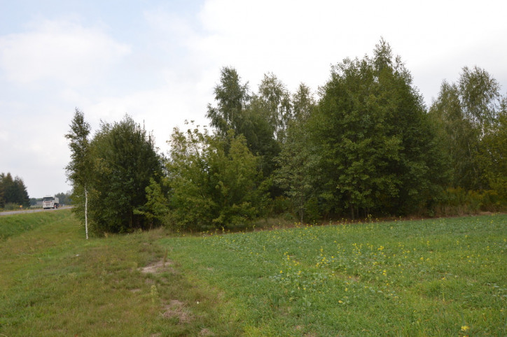 Działka Sprzedaż Brzeźnica Leśna 3