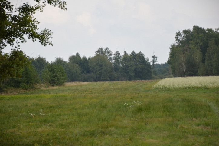 Działka Sprzedaż Brzeźnica Leśna 5