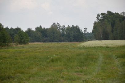 Działka Sprzedaż Brzeźnica Leśna