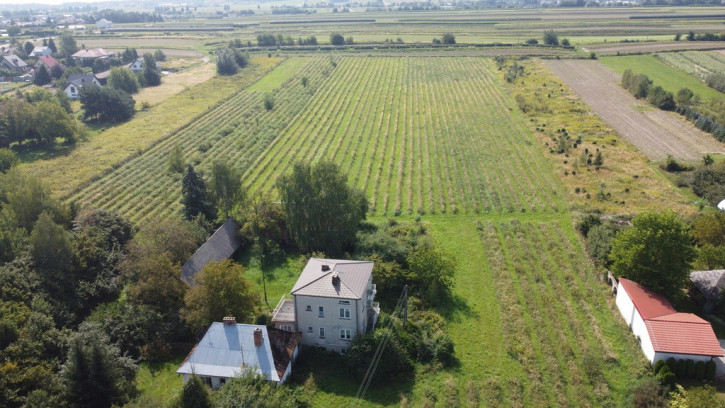 Działka Sprzedaż Końskowola Lubelska 1