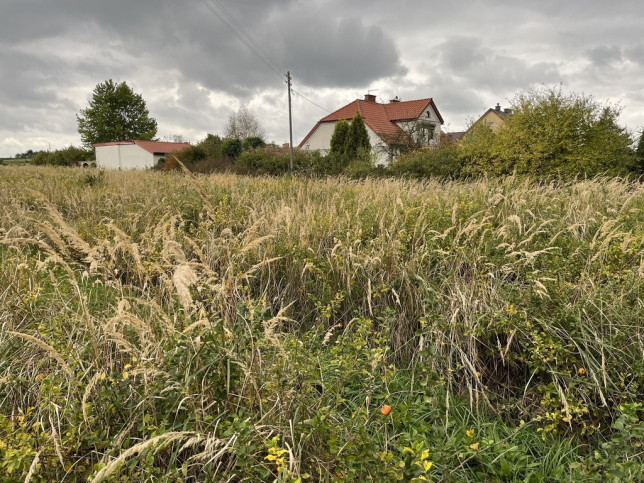 Działka Sprzedaż Końskowola Lubelska 6