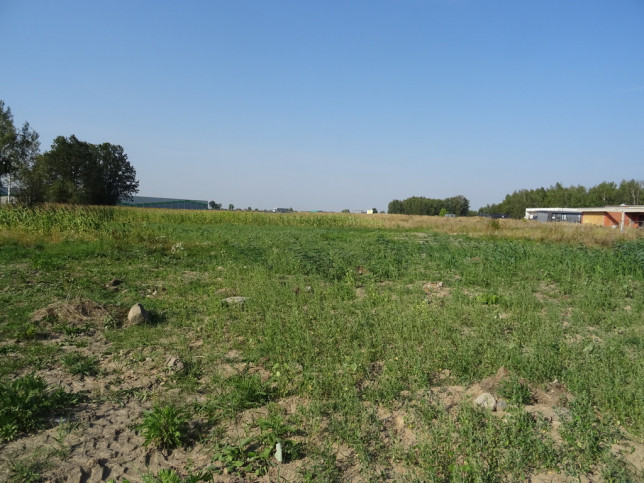 Działka Sprzedaż Piotrków Trybunalski Kasztelańska 3