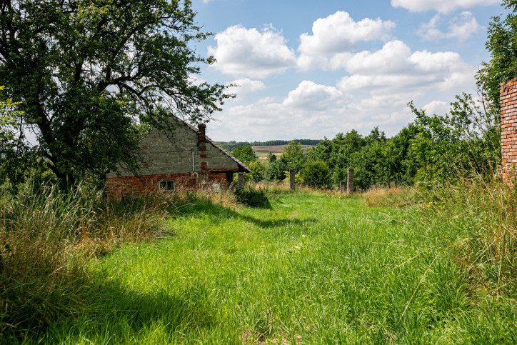 Działka Sprzedaż Zalasowa 10