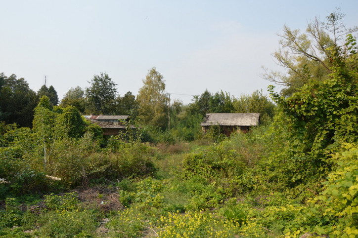 Działka Sprzedaż Urzędów Błażeja Dzikowskiego 2