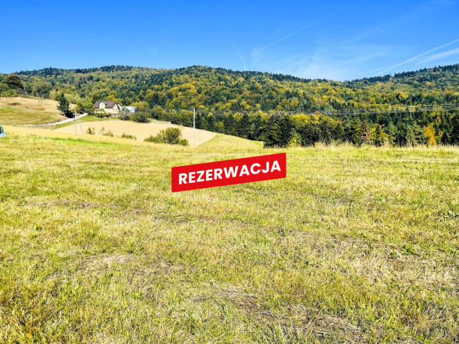 Działka Sprzedaż Żurowa 1