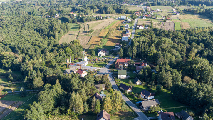 Działka Sprzedaż Bucze 10