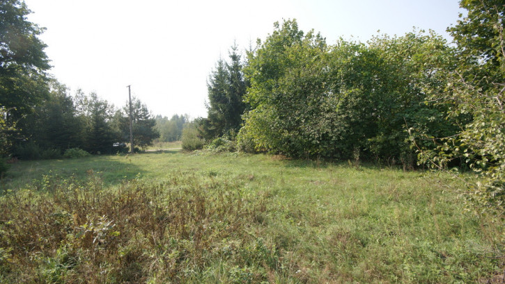 Działka Sprzedaż Gołąb 7