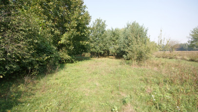 Działka Sprzedaż Gołąb