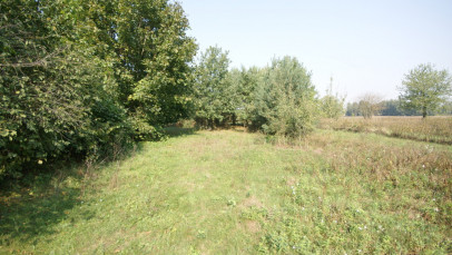 Działka Sprzedaż Gołąb