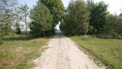 Dom Sprzedaż Gołąb