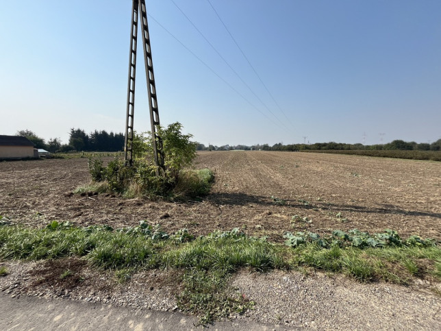 Działka Sprzedaż Gołąb Lotnisko 8