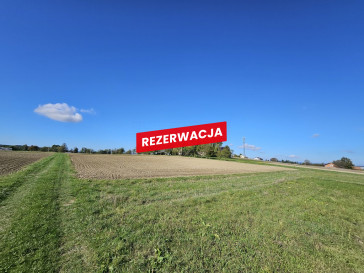 Działka Sprzedaż Moszczenica