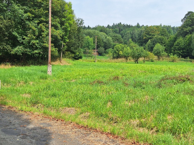 Działka Sprzedaż Lachowice 1