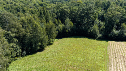 Działka Sprzedaż Błonie