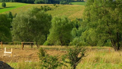 Działka Sprzedaż Krynica-Zdrój Zawodzie