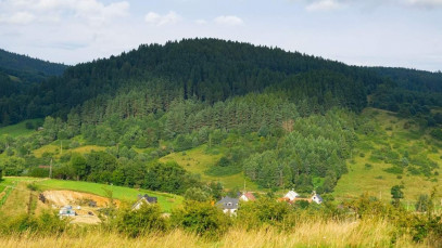 Działka Sprzedaż Krynica-Zdrój Zawodzie