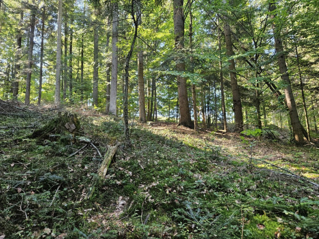 Działka Sprzedaż Moszczenica Widokowa 105 4