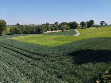 Działka Sprzedaż Moszenki