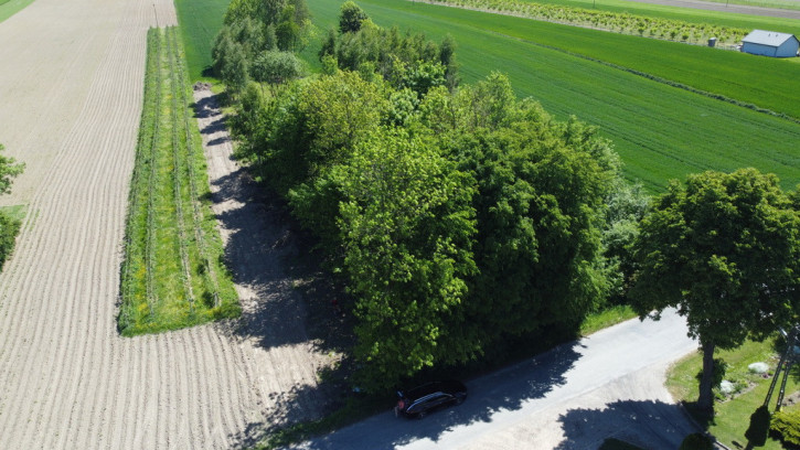 Działka Sprzedaż Wola Duża-Kolonia 1