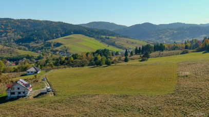 Działka Sprzedaż Krynica-Zdrój Zawodzie