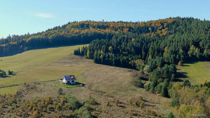 Działka Sprzedaż Krynica-Zdrój Zawodzie 1